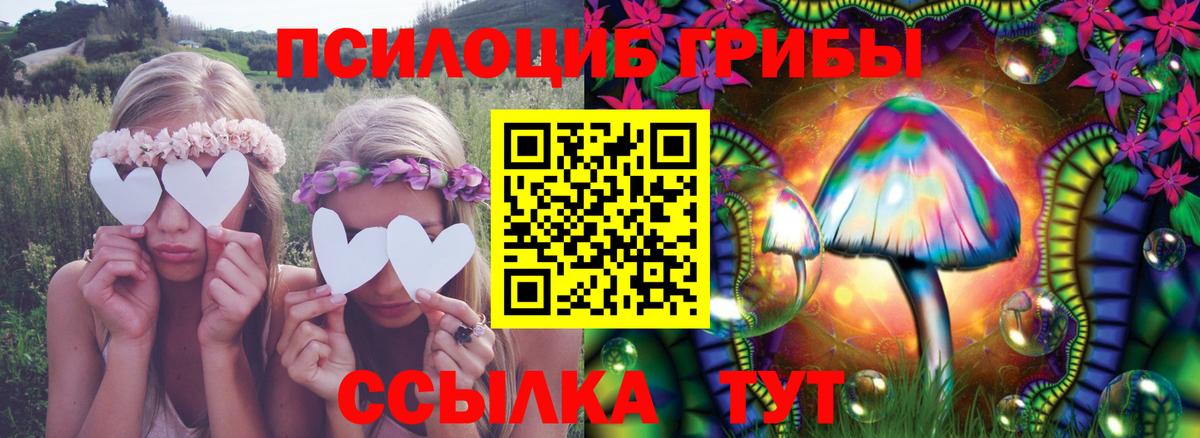 Псилоцибиновые грибы Magic Shrooms  Вход с VPN  Назрань 